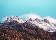 开云登录入口地址-开云体育：让每一次观赛都充满可能的数字体育新纪元